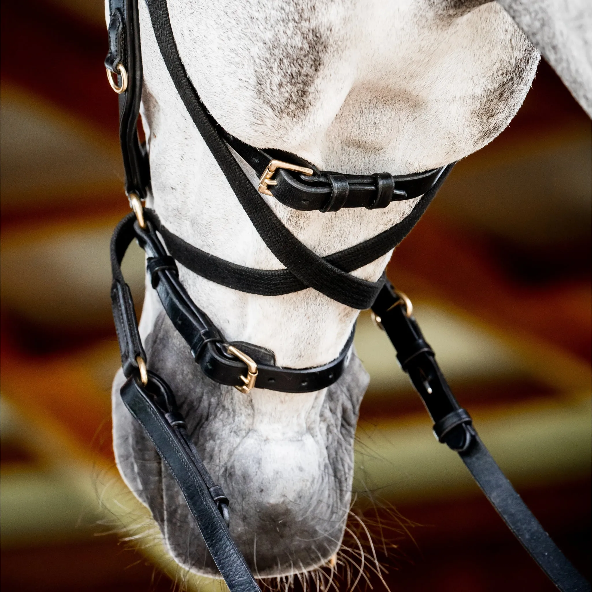 Horseware Micklem 2 Multi-Bridle